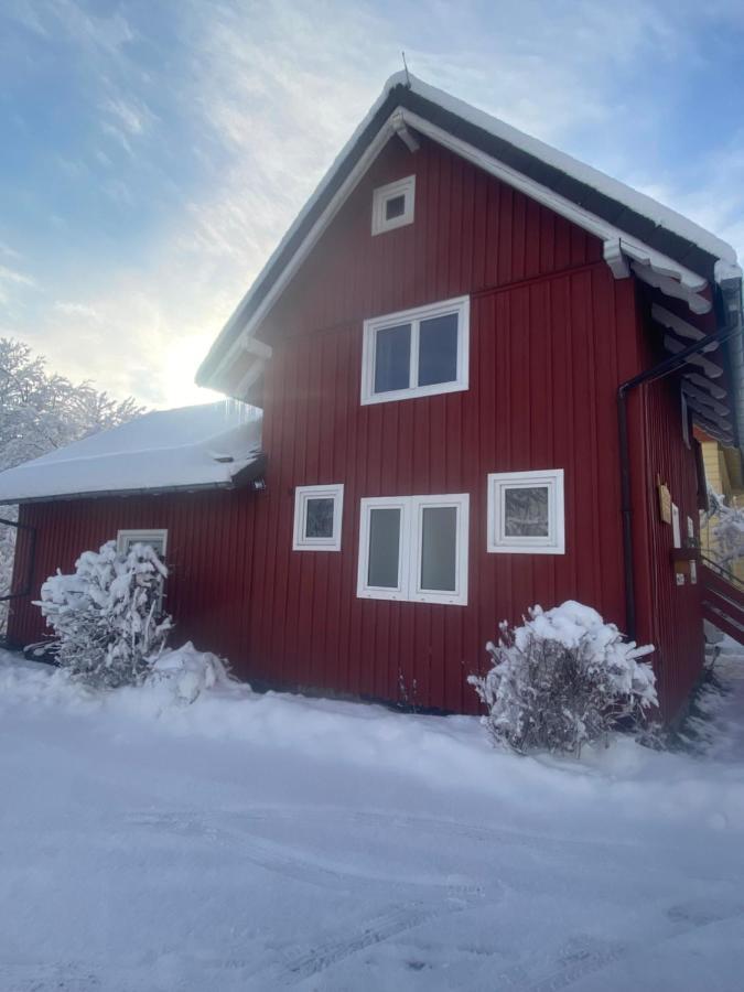 Fischer Huette Sankt-Andreasberg Extérieur photo